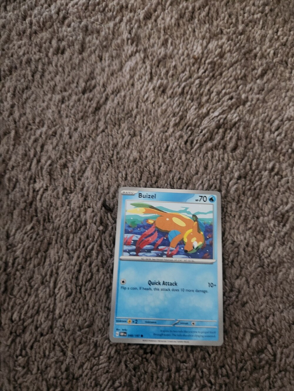 Buizel 048/197 NM / M Obsidian Flames Pokemon Card - Jerky Art